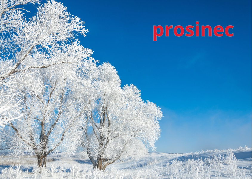 prosinec